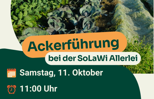 Ackerführung bei der SoLaWi Allerlei