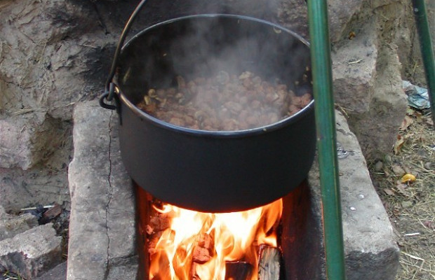 Rezepte für ein gutes Klima